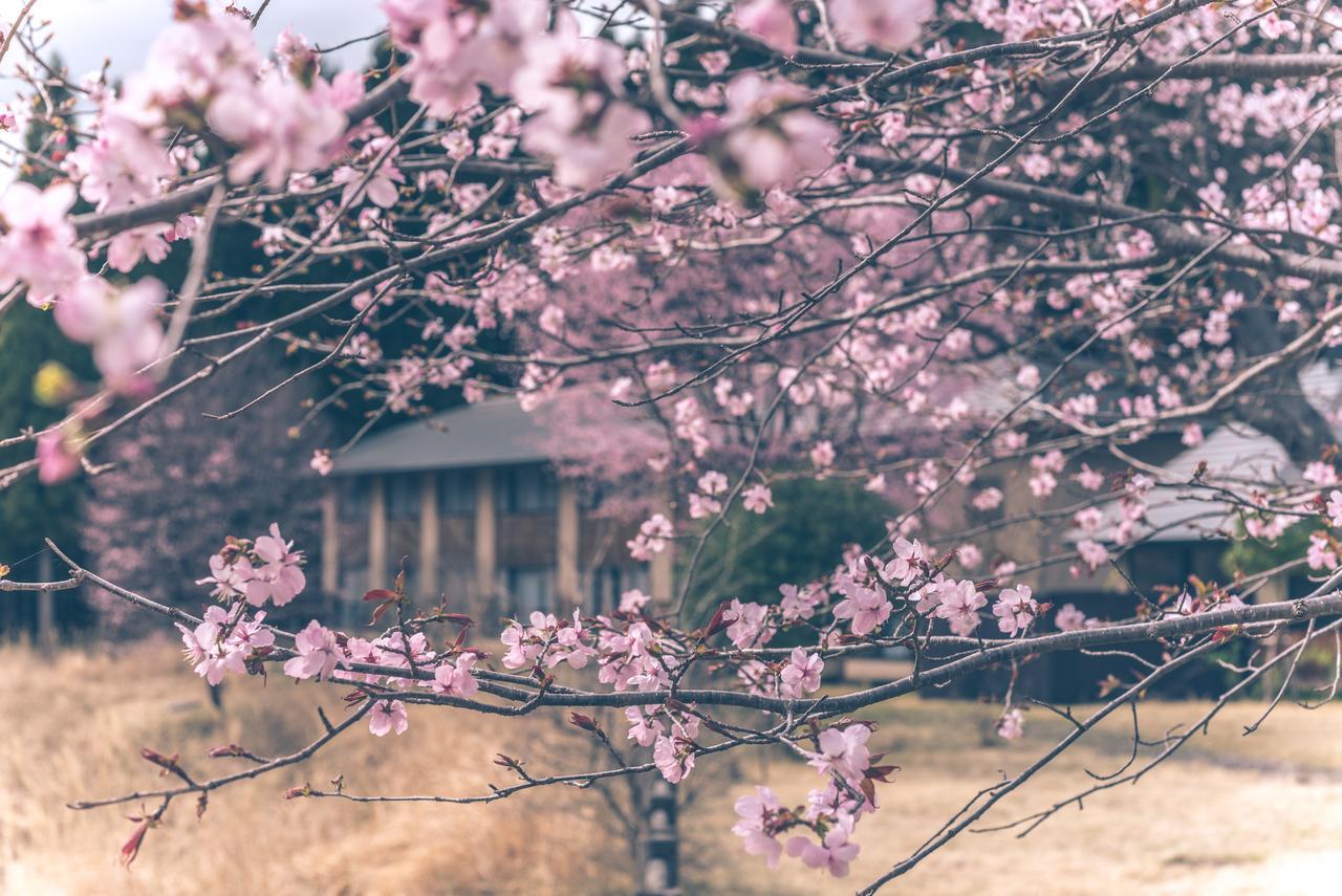 Hotel Kaze no Hibiki Nikko Exterior foto